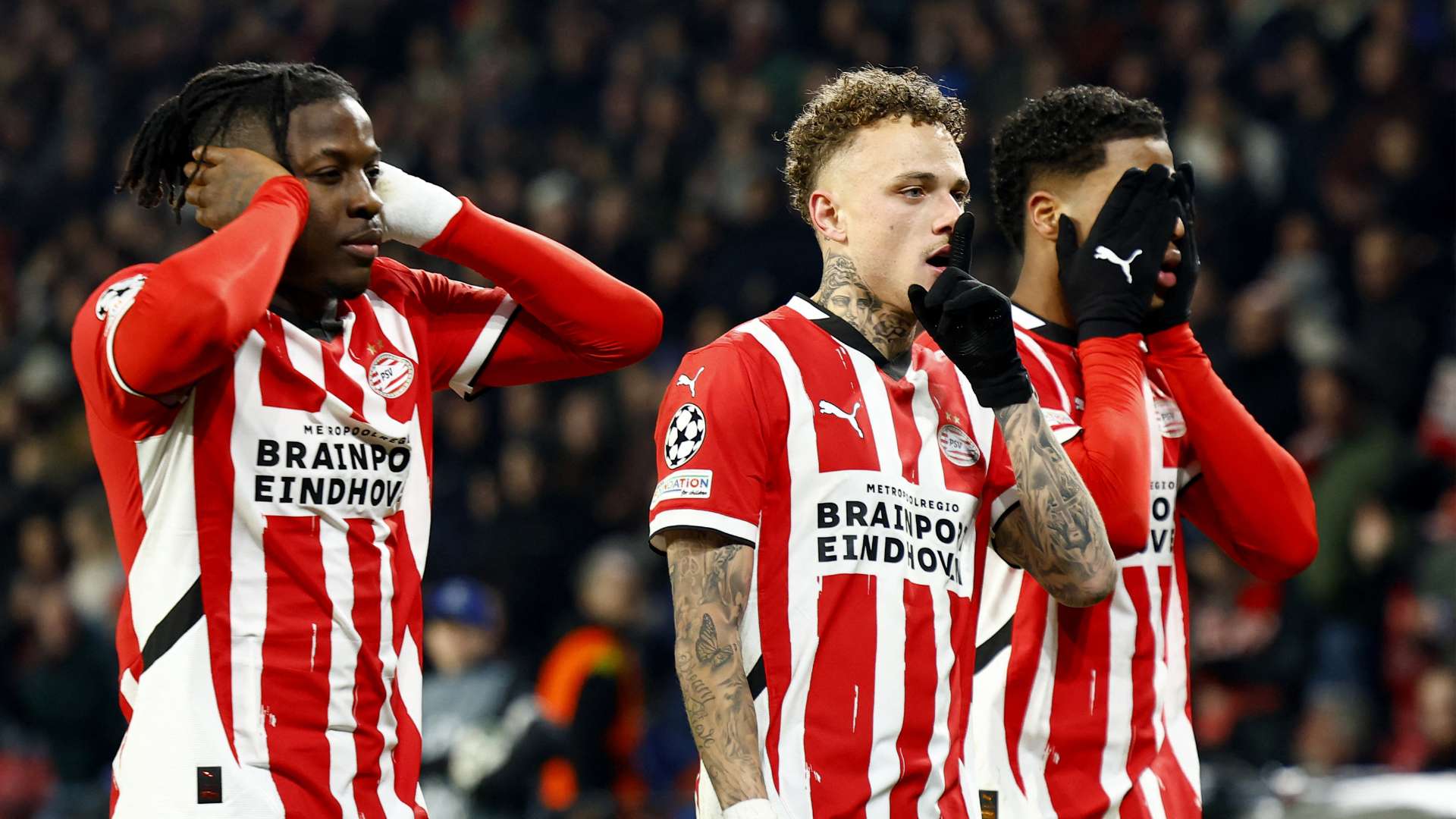 不仅突显了 不仅突显了